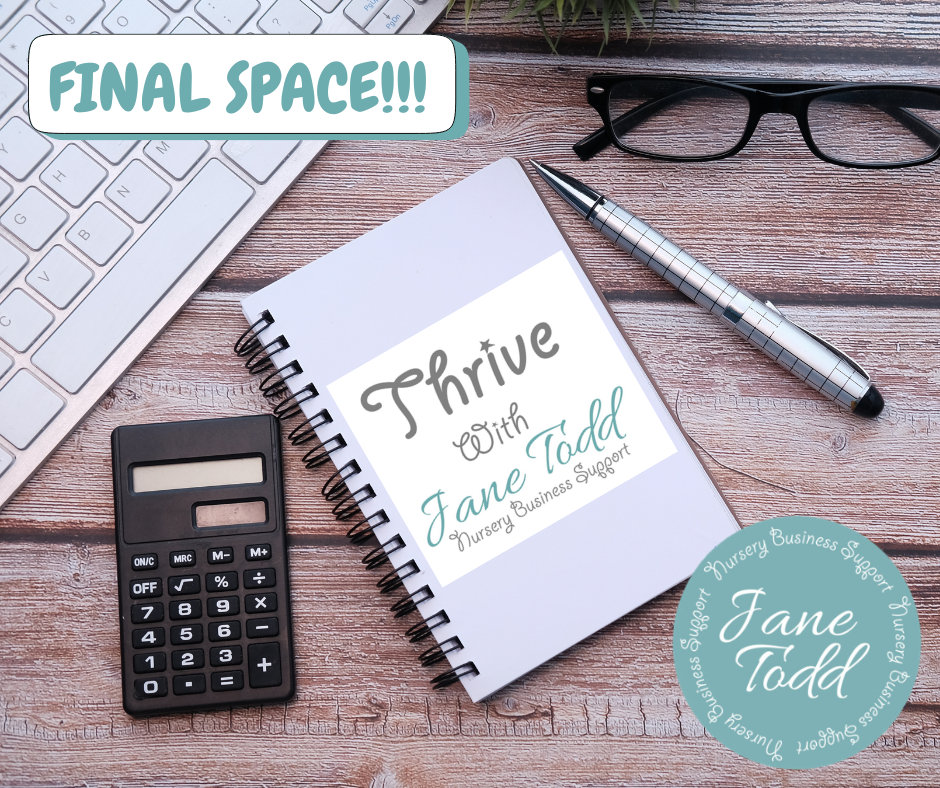 Thrive Nursery Business Programme for Nursery Owners